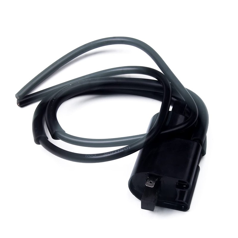 Goodbest New 2 SETS Ignition Coils and Spark Plug Caps