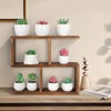 Jotsport Window Sill Plant Stand Small Wood Plant Shelf for