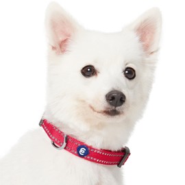 Blueberry Pet Essentials Pastel Color Reflective Dog Collar in Very Berry, Medium, Neck 14.5"-20"