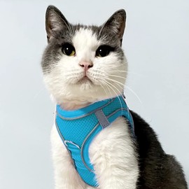 Joytale Dog Harness, Reflective Soft Padded Dog Harness, Breathable Air Mesh Chest Harness for Cats, Puppies, Small Dogs, XXS, Baby Blue