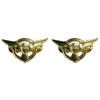 Agent Carter SSR Eagle Wings Set of 2 Metal Pins