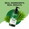 Maple Holistics Jabón Corporal De Aceite Árbol De Té Para