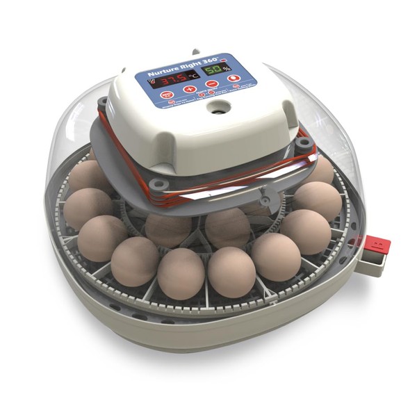 Manna Pro Harris Farms Nurture Right Egg Incubator for Hatching Chicks - Holds 22 Eggs - Automatic Egg Turner with Temperature and Humidity Control - 360 Degree View With Clear Window