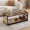 Welnow Rattan Coffee Tables for Living Room, Modern 2-Tier Coffee
