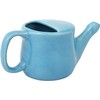 Ancient Impex Ceramic Neti Pot, Spill Proof with 5 Sachets