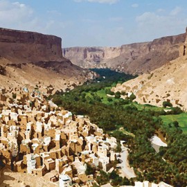 Aroma Ridge Yemen Coffee, 1 lb Whole Bean FlavorSeal Bag | Medium Roast | Single Origin