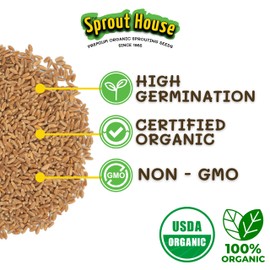 The Sprout House Wheatgrass Seeds – 5LB Certified Organic Wheatgrass Seed for Growing - Healthy and Rich in Nutrients, Loaded with Chlorophyll, Cat Grass Seeds, Wheatgrass Growing Seed