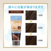 Hoyu Bigen Color Treatment DBR (Dark Brown) 180 g +