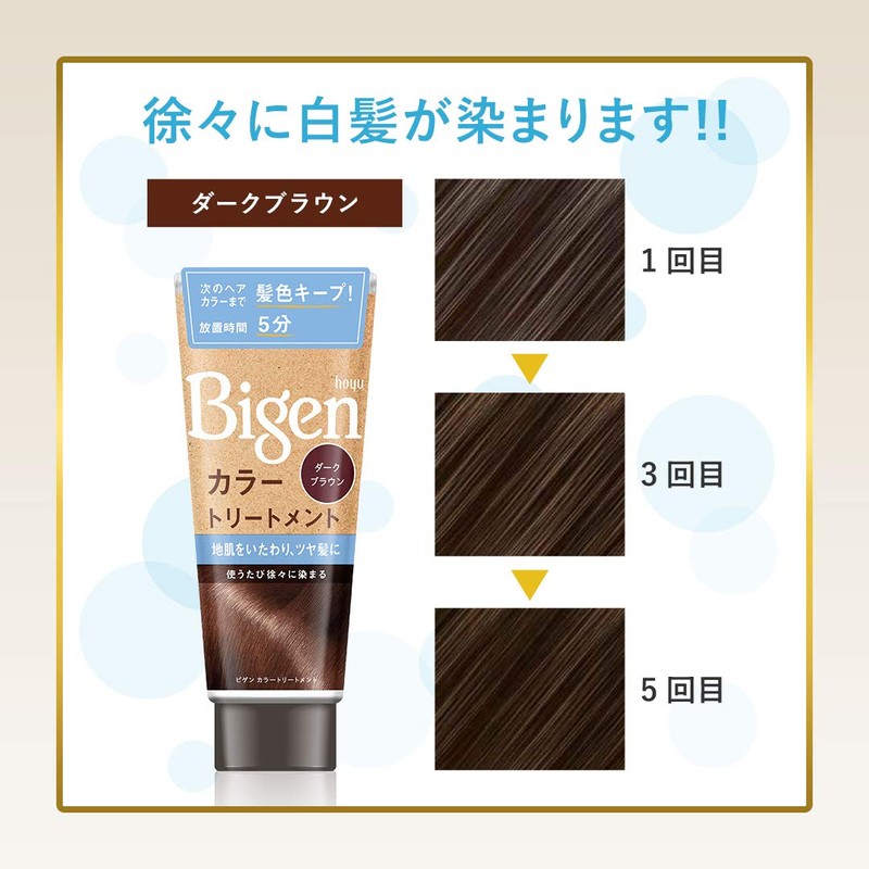 Hoyu Bigen Color Treatment DBR (Dark Brown) 180 g +