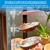 KFPSHLQE 7 Pack Seashells Betta Hammock,Betta Bed Resting Spot,Fish Tank