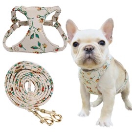 Little Boss Dog Harness, Gold Stamping Floral Pattern Soft Suede Adjustable No Pull Puppy Harness and Leash Set with Snap Buckle Dog Harness Small Sized Dogs