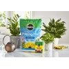 Miracle-Gro Moisture Control Potting Mix and Water Soluble All Purpose