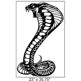 Clausen's World Cobra Snake Hood Car Decal Vinyl Graphics 35.75 Inches, Fits Mustang and Shelby, Red