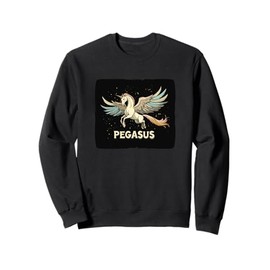 Nice Pegasus Costume for Boys and Girls Sweatshirt