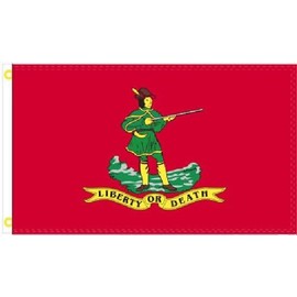 COLL7AWS 3X5 LIBERTY OR DEATH HISTORICAL 1776 RED FLAG BANNER 100D