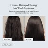 GROWUS [GROWUS]Damage Therapy No-Wash Treatment EX 250ml #Due Rose