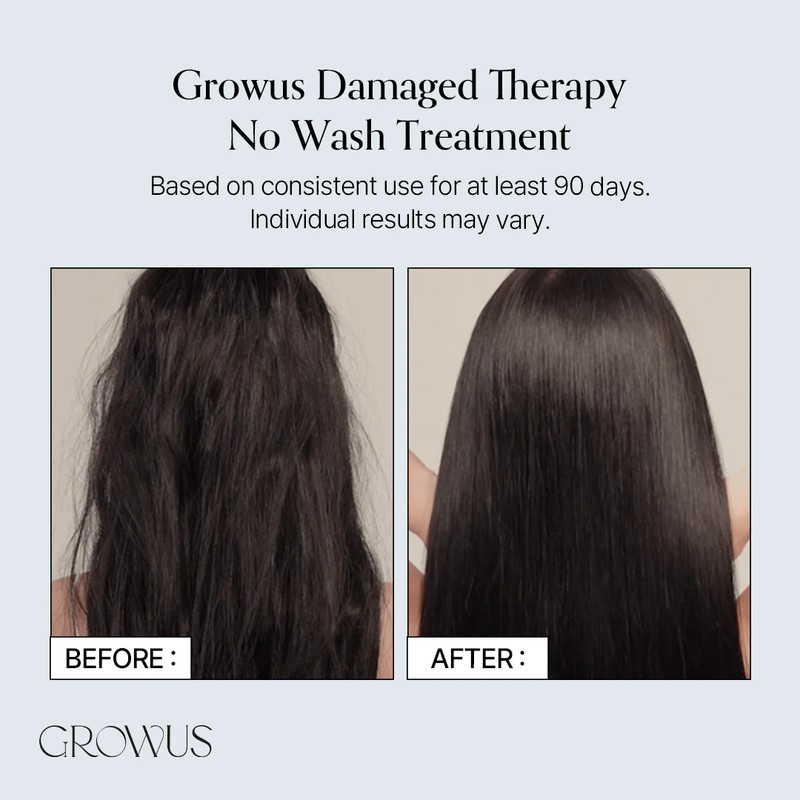 GROWUS [GROWUS]Damage Therapy No-Wash Treatment EX 250ml #Due Rose