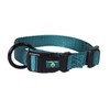 Hamilton Adjustable Nylon Dog Collar, Teal, 5/8" x 12-18"