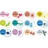 Kuretake Water-Based Pen ZIG Clean Color Dot 12 Colors TC-6100/12V