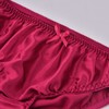 Satin Bikini Panties, 100% Silk Panties for Women (4-Pack)