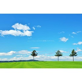 [Japanese Landscape Postcard AIR] Hokkaido Autumn Sunny Blue Sky and Fairy Tale Hill Postcard Postcard 2 Photo by YOSHIO IWASAWA