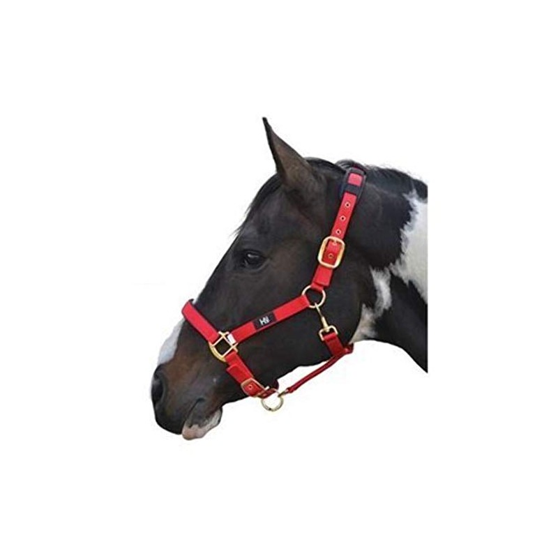Hy Deluxe Fully Padded Premium Nylon Horse Headcollar/Halter_simple