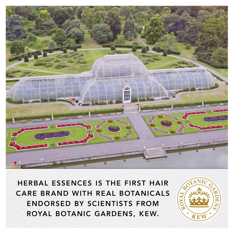 Herbal Essences Sulphate-Free Potent Aloe + Eucalyptus Cleansing Shampoo for