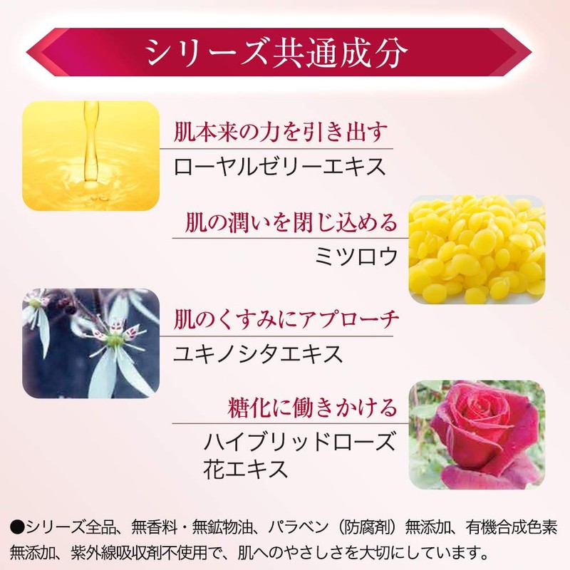 Bee Make Up rimeikukonpakutorifi-ru (Powder Foundation) G * Puff with