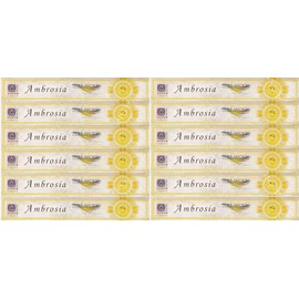 Berk HS-100-P4-12 Incense Sticks, 4x, 8x, or 12x Ambrosia (Pack of 12)