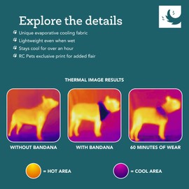 RC Pet Products Innovative, Lightweight, Stylish, Zephyr Cooling Bandana, Dog Cooling Bandana | Small, Toucan