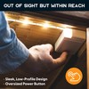 POWER PRACTICAL Luminoodle Under Cabinet Lighting - Click LED Light