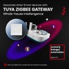 Tuya ZigBee Digital Display Intelligent Temperature Controller Multifunctional Water/Electric Floor