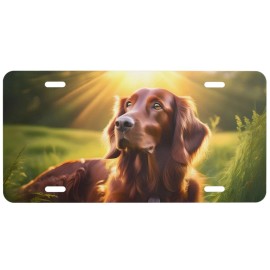iRISH Setter Setting Sun License Plate 6 X 12 Inches Aluminum New