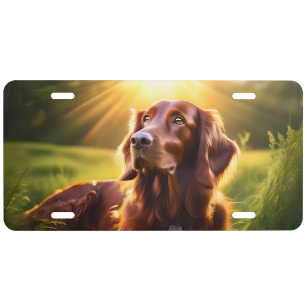 iRISH Setter Setting Sun License Plate 6 X 12 Inches
