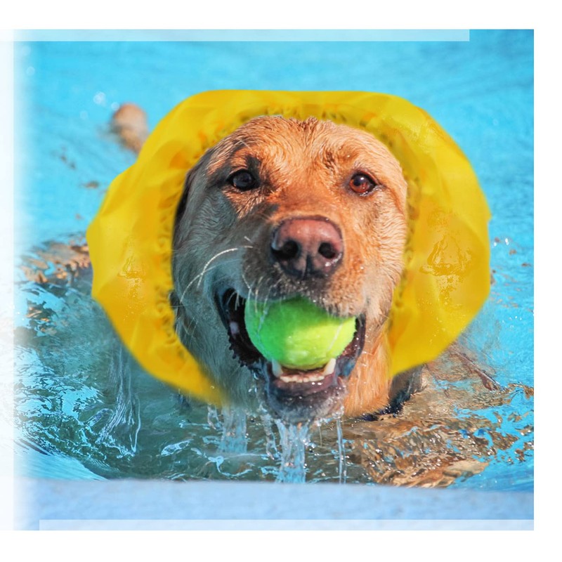2 Pack Swim Cap for Dogs - Waterproof Dog Snood