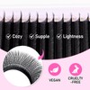 Arison Lashes Extensiones De Pestañas En Forma De W, Volumen