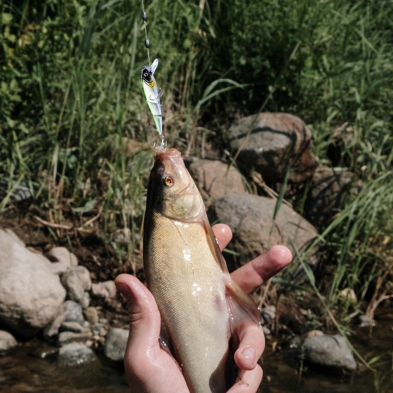 Minnow Fishing Lures | Three-Section Sinking Minnow Lures - Catfish