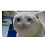 Sad Cat Meme Card Sticker | Key, Debit, Credit Card