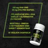 NEX Omega-3 Algae Oil, Vegan DHA EPA Source from Schizochytrium