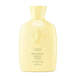Hair Alchemy Resilience Shampoo