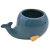 Decorative Ceramic Whale Planter Planter Dimensions (L x W x