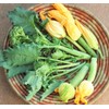 TomorrowSeeds - Broccoli Rabe (Rapini) Seeds - 1000+ Count -