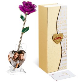 Mikasol Gold Dipped 24K Forever Preserved Rose, 1 Pack Infinity Flower Decor Hand Dipped Romantic Gift for Women in Her Wife Girlfriend Birthday Anniversary Valentines Mothers Day Christmas(Purple)