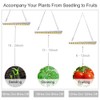 JCBritw 60W LED Grow Light with Stand White Full Spectrum
