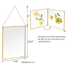 AVLA Brass Hanging Photo Frame, 11x14 inch Double Glass Floating Frame, Large Picture Artwork Display Frame for Pressed Flowers, Golden Gallery Wall Frame for Specimen, Certificate, Home Decor