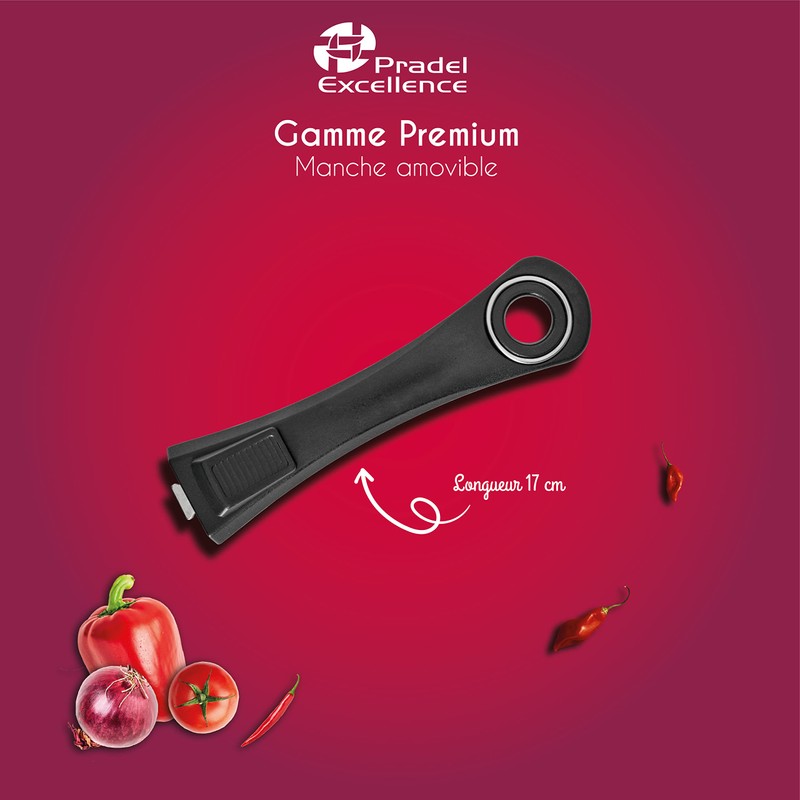 Pradel Excellence, P0001919/52001M Premium Handle Cooking Accessories