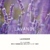 ESTEBAN Esprit De Natural Lavender Sticks 40 Sticks Combines French