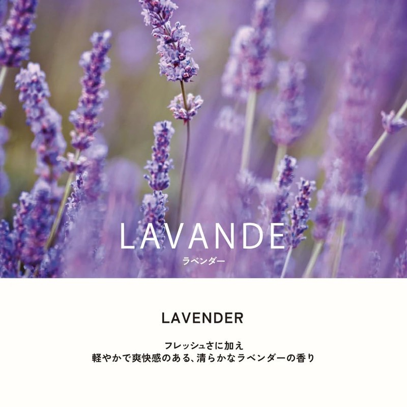 ESTEBAN Esprit De Natural Lavender Sticks 40 Sticks Combines French