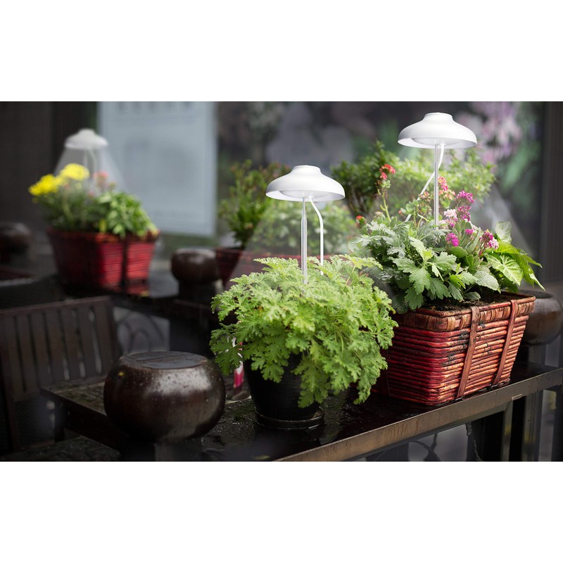Northpoint LED 7 W Plant Light Plant Lamp Plant Lighting