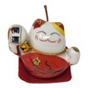 Starlet24 Set of 5 Chinese Lucky Cats Ceramic Decorative Lucky